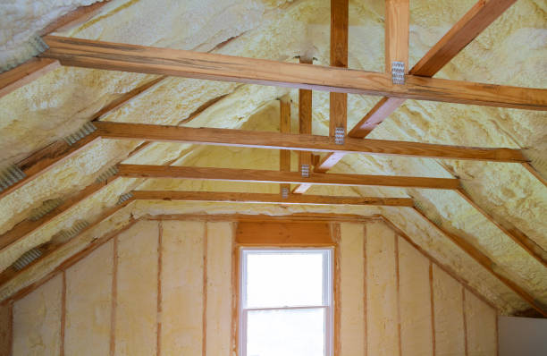 Best Geographic-Specific Insulation Services in Vardaman, MS