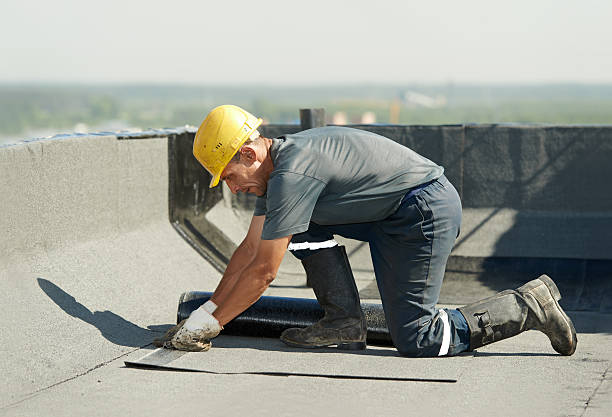 Best Cellulose Insulation in Vardaman, MS